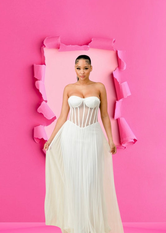 Snow White Mesh Dress