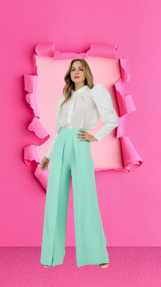 Tasha zip-up pleated front wide leg pants